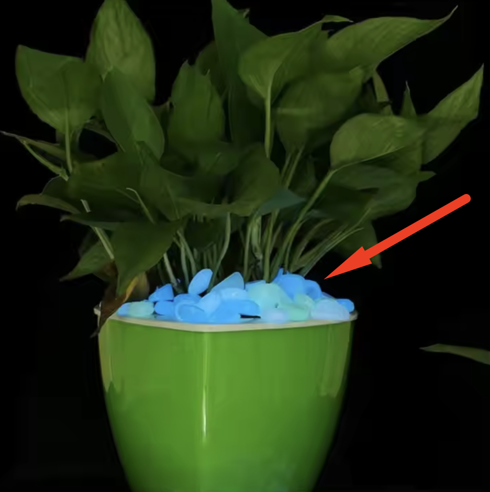 100 Pcs Glow in the dark Outdoor stones