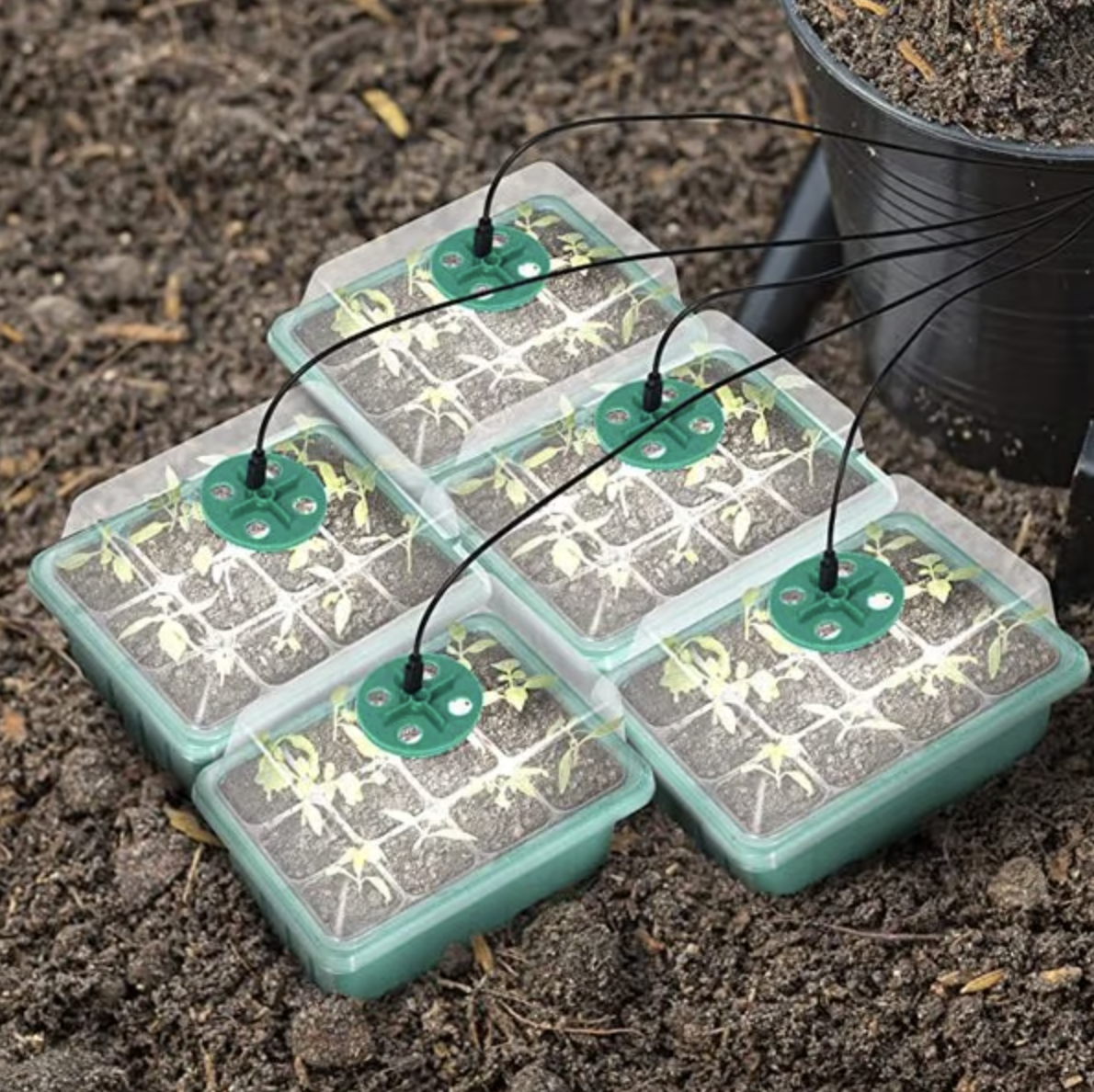 Seed Starter Trays with Grow Light 2025