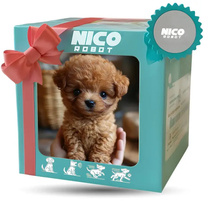 ๐ฅ Last Day Sale Price | Original ๐๐๐๐ฅ๐ข๐ฌ๐ญ๐ข๐ ๐๐จ๐๐จ๐ญ ๐๐ฎ๐ฉ๐ฉ๐ฒ๐ถ