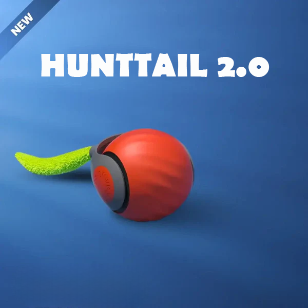 Whisker Chase Ball
