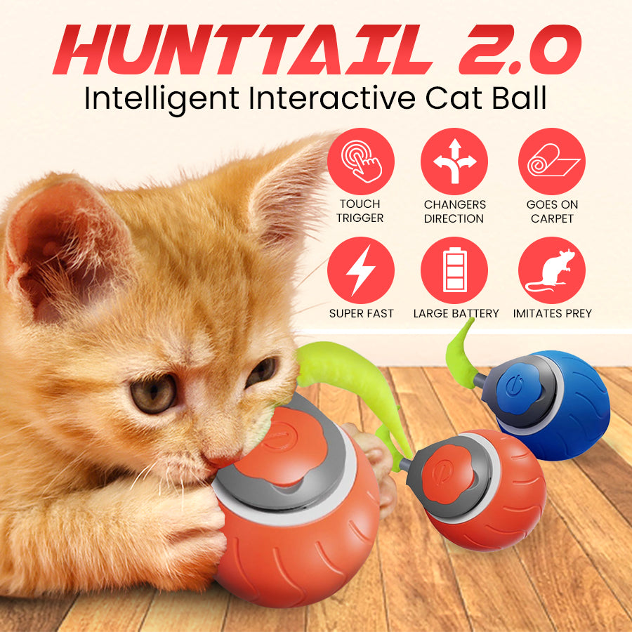 Whisker Chase Ball