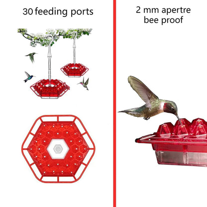 50% Off💥Hummingbird Feeders for Outdoors Hanging