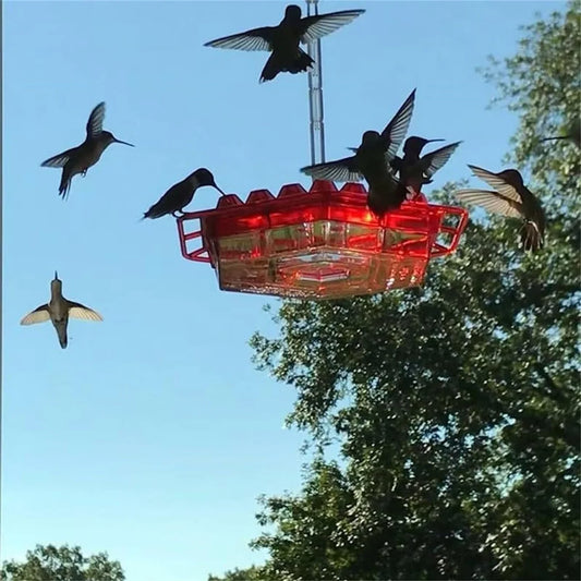 50% Off💥Hummingbird Feeders for Outdoors Hanging