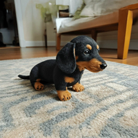 Dachshund Black