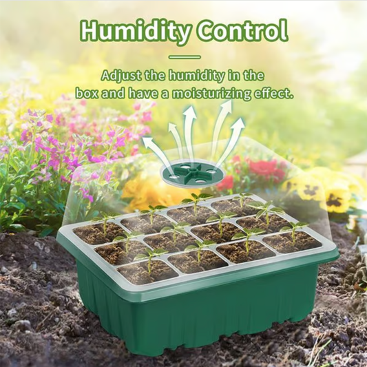 Seed Starter Trays with Grow Light 2025