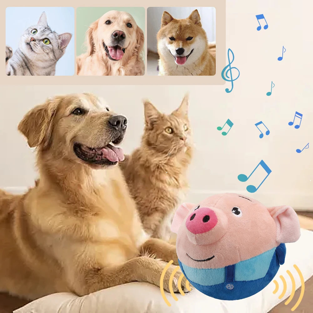 Bouncy Buddy Dog Toy