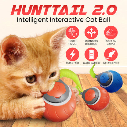 Whisker Chase Ball