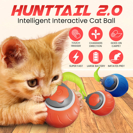 Whisker Chase Ball
