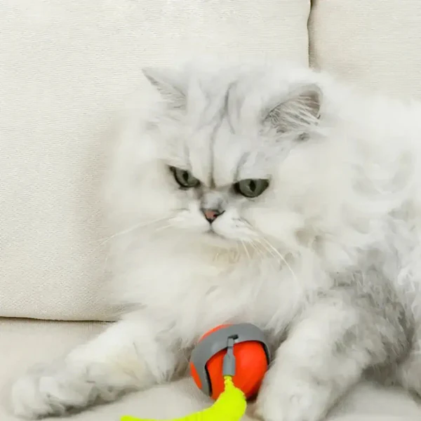Whisker Chase Ball