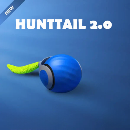 Whisker Chase Ball