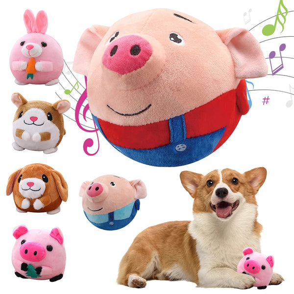 Bouncy Buddy Dog Toy