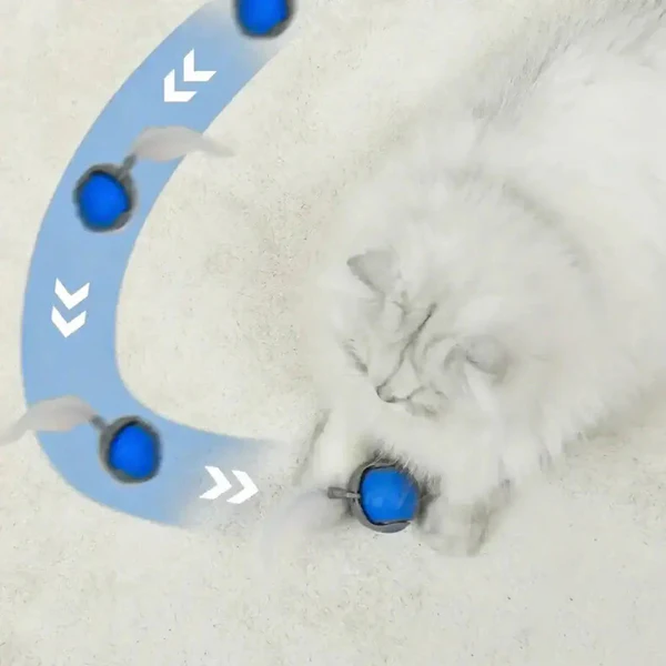 Whisker Chase Ball