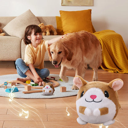 Bouncy Buddy Dog Toy