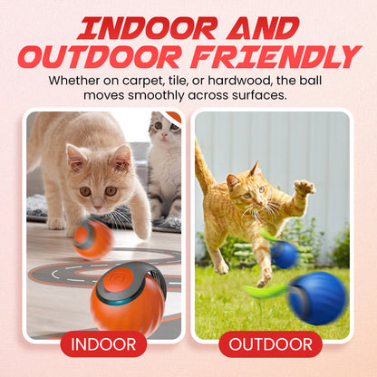 Whisker Chase Ball