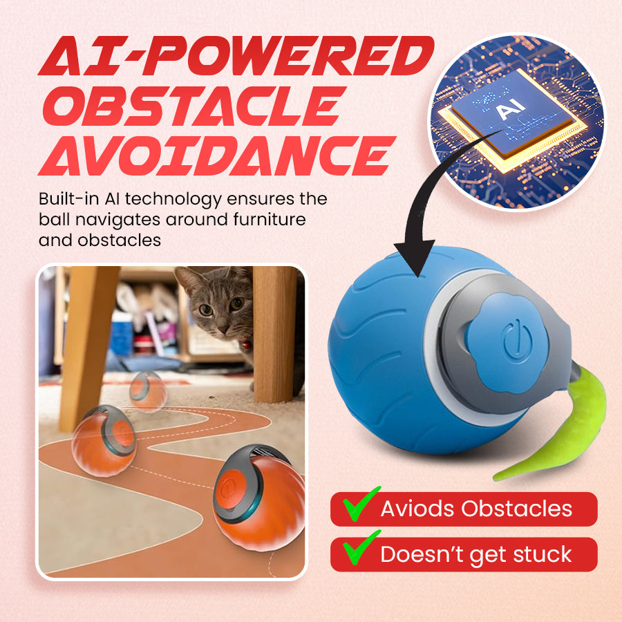 Whisker Chase Ball