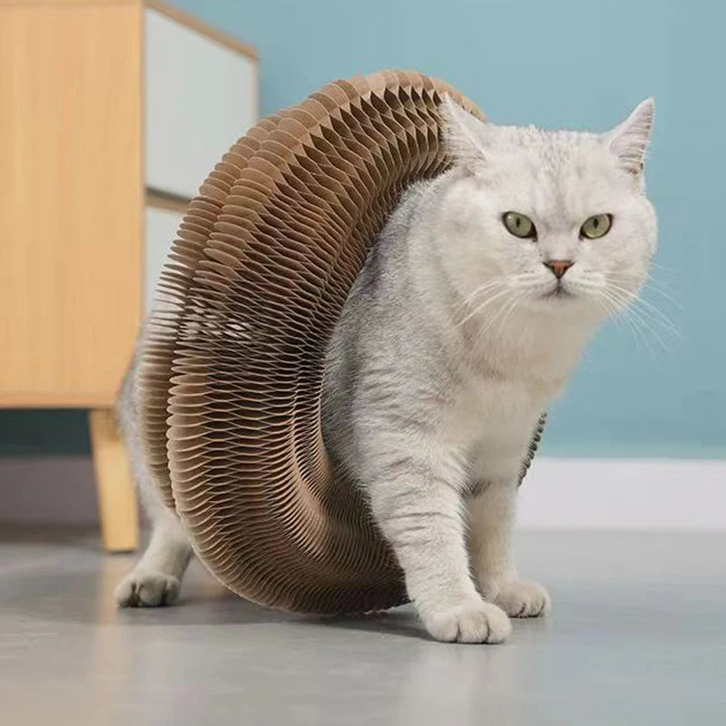 Purrfect Playhouse for Cats