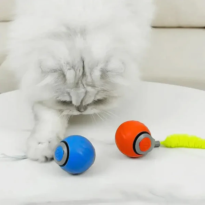Whisker Chase Ball